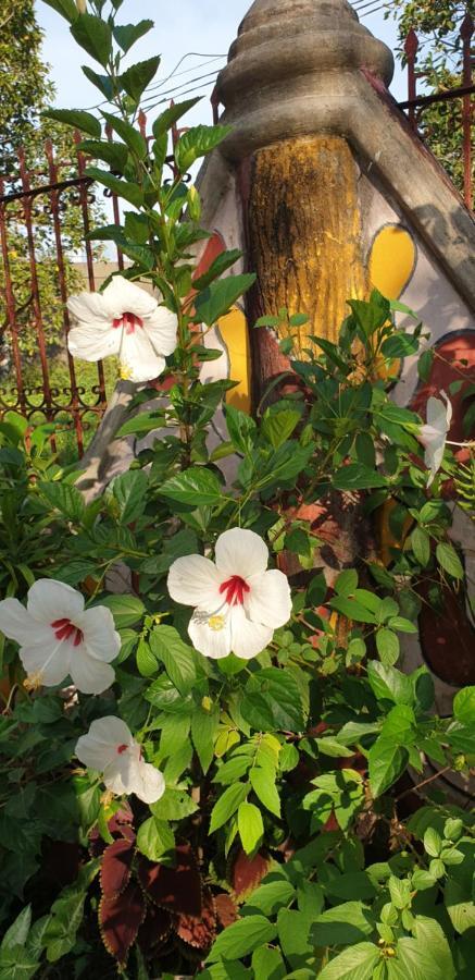 אלמינוס Alona'S Traditional Filipino Home Near 100 Islands Wharf מראה חיצוני תמונה